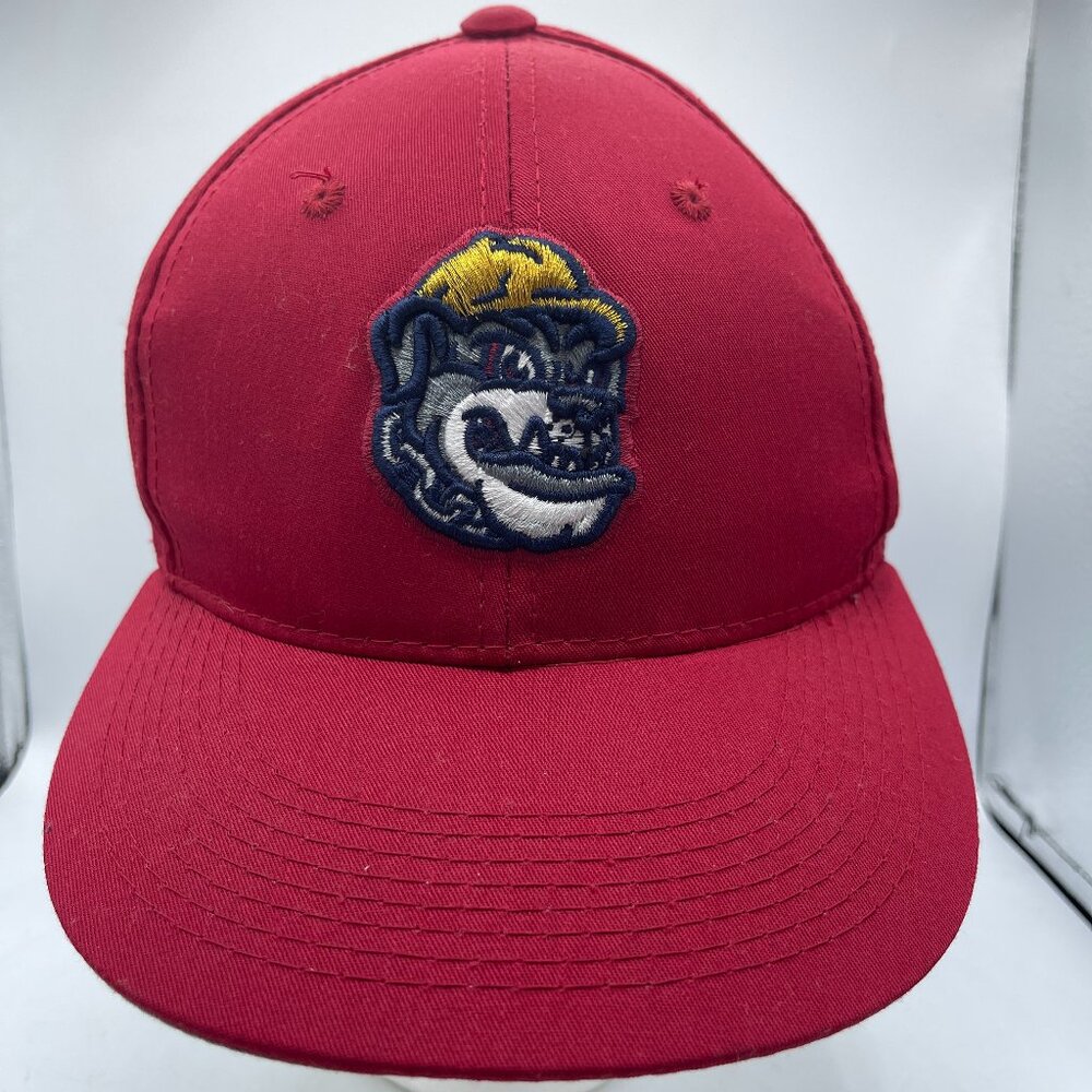 Vintage Minor League Baseball Cap – Red Bulldog Logo (OSFM)